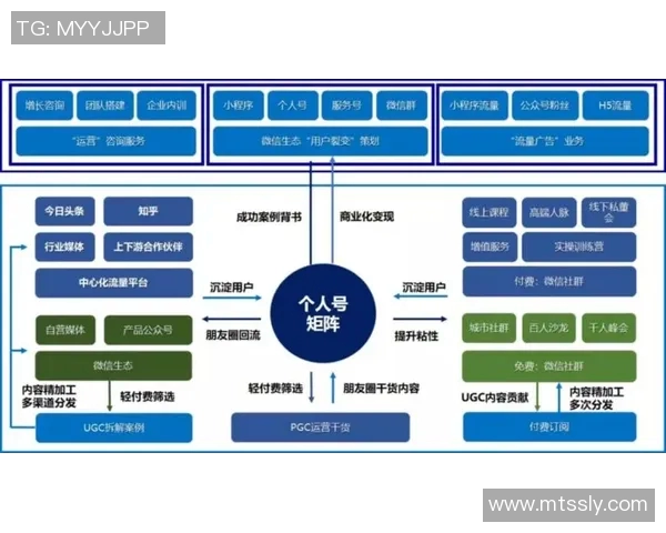 打造精准营销策略提升品牌价值实现销售增长的全方位策划方案