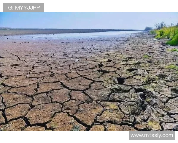 全球气候变化加剧极端天气事件频发，各国应对措施不断升级与调整