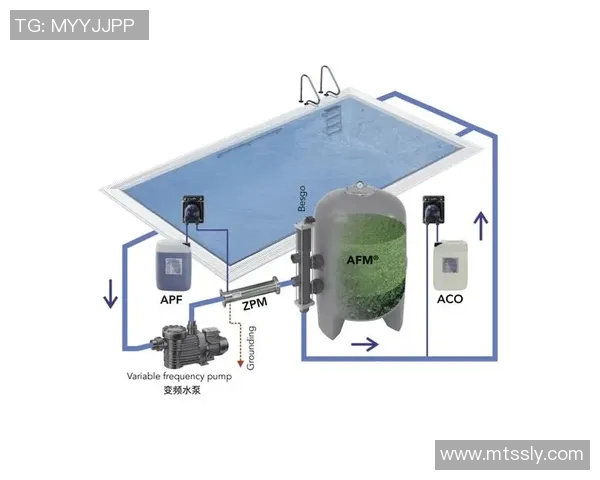 如何高效进行泳池维护工作,延长池水清洁与设备使用寿命的方法与技巧 如何高效进行泳池维护工作,延长池水清洁与设备使用寿命的方法与技巧