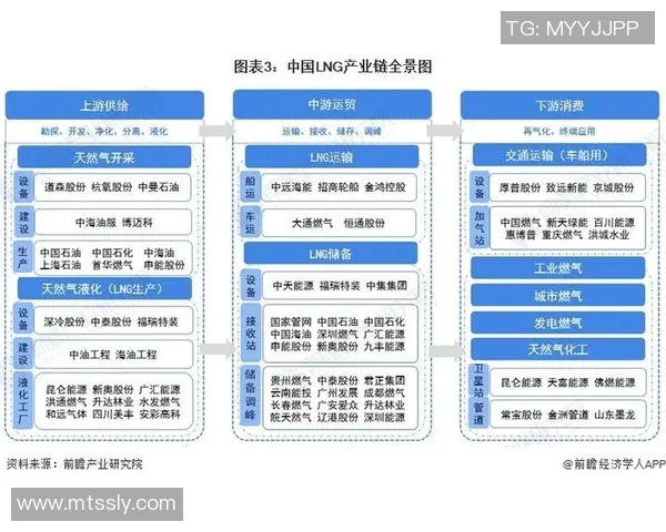 LNG市场竞争新策略深度分析与解读