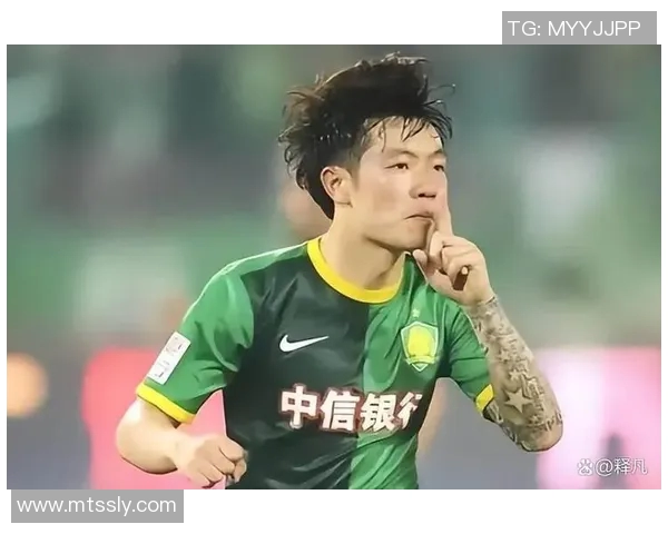 张稀哲曾效力的德甲球队回顾及德甲中国球员发展