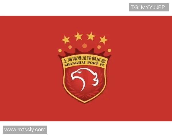 江苏舜天与尚州尚武队精彩对决录像回放分析与战术解读