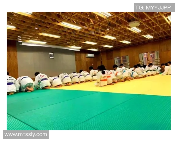 柔道技艺与精神传承探讨：从传统到现代的演变与发展