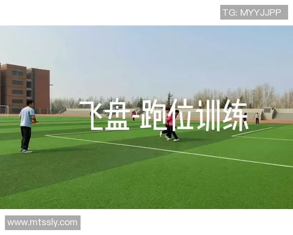 飞盘运动的魅力与挑战深圳飞盘队耐力训练的深度探讨